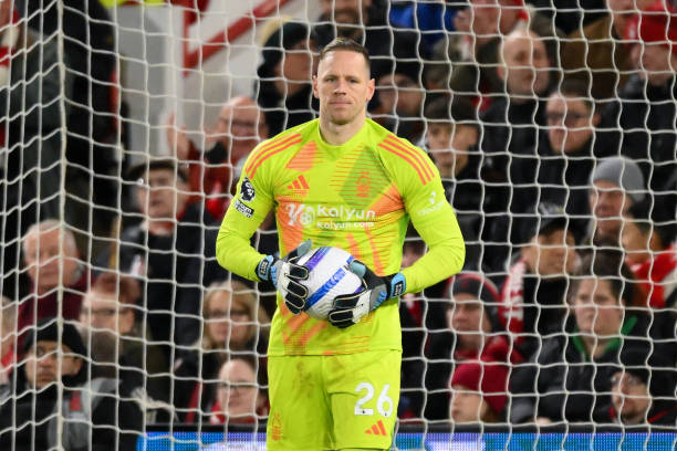 仅帮助他们 仅帮助他们