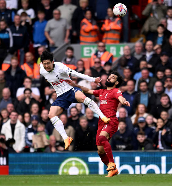 孔蒂的执教 孔蒂的执教