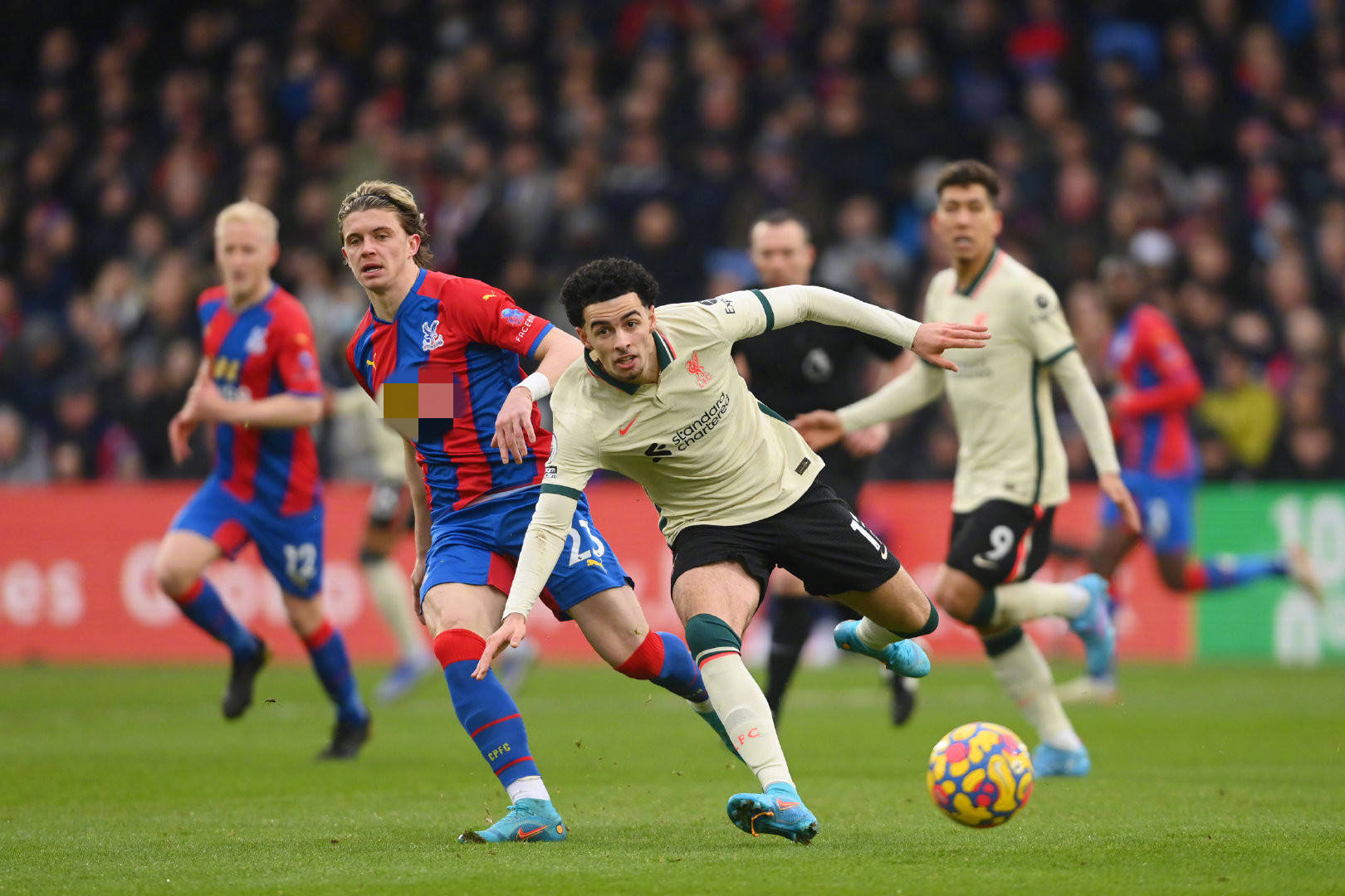 與各種活動 與各種活動